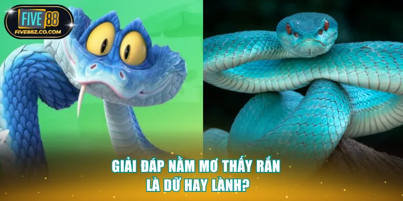 Giải đáp nằm mơ thấy rắn là dữ hay lành